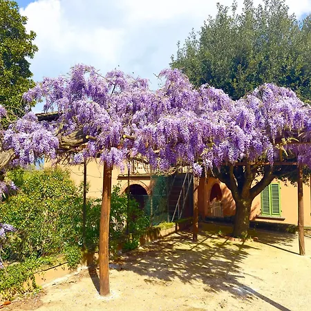 I Lecci - The Gate Of Chianti Poggio Alla Croce